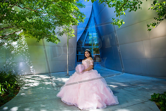 Rosale Ortiz Pre-pictures_0089