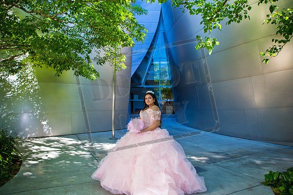 Rosale Ortiz Pre-pictures_0088