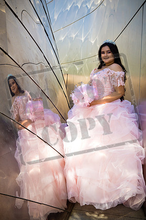 Rosale Ortiz Pre-pictures_0083