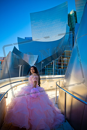 Rosale Ortiz Pre-pictures_0078