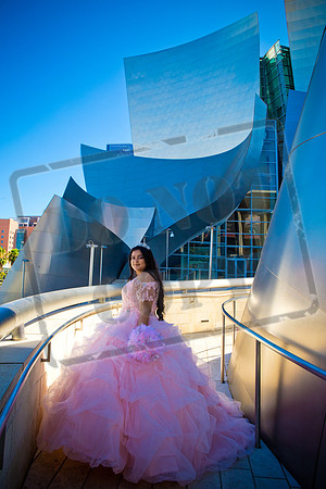 Rosale Ortiz Pre-pictures_0076