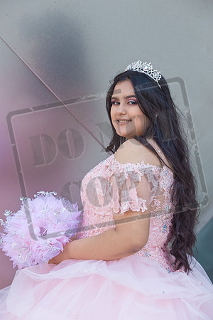 Rosale Ortiz Pre-pictures_0075