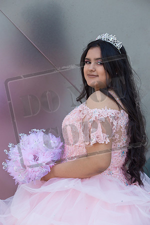 Rosale Ortiz Pre-pictures_0074