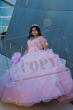 Rosale Ortiz Pre-pictures_0073