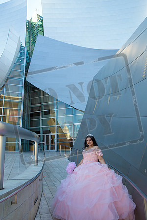 Rosale Ortiz Pre-pictures_0072