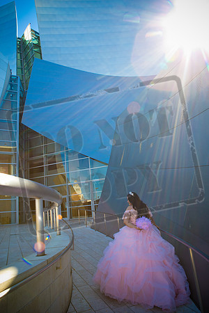 Rosale Ortiz Pre-pictures_0070