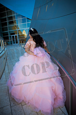 Rosale Ortiz Pre-pictures_0069