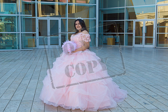 Rosale Ortiz Pre-pictures_0067