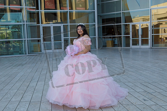 Rosale Ortiz Pre-pictures_0066