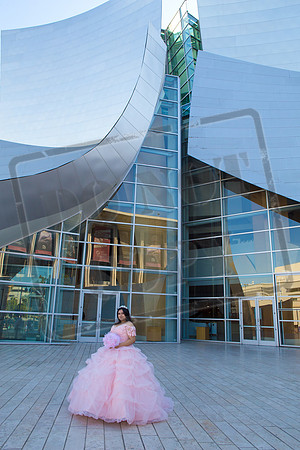 Rosale Ortiz Pre-pictures_0064