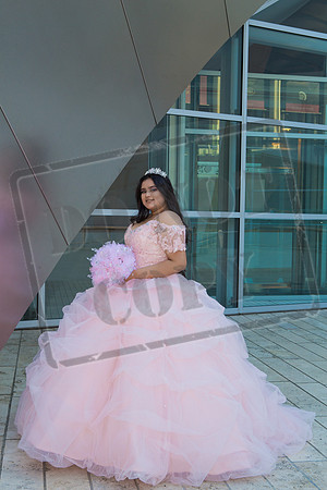 Rosale Ortiz Pre-pictures_0062