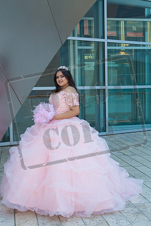 Rosale Ortiz Pre-pictures_0061