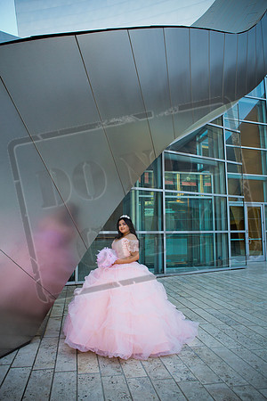 Rosale Ortiz Pre-pictures_0060