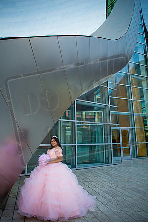 Rosale Ortiz Pre-pictures_0059