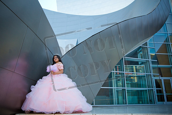 Rosale Ortiz Pre-pictures_0057