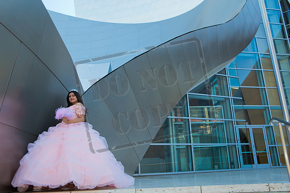 Rosale Ortiz Pre-pictures_0056