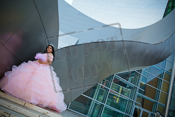 Rosale Ortiz Pre-pictures_0055