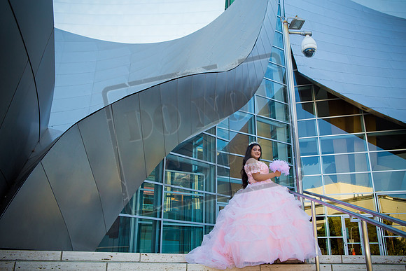 Rosale Ortiz Pre-pictures_0053