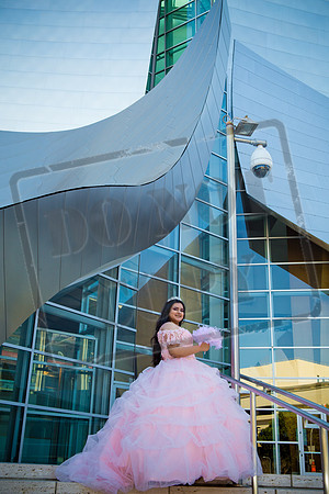 Rosale Ortiz Pre-pictures_0051