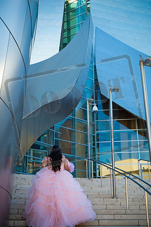 Rosale Ortiz Pre-pictures_0049