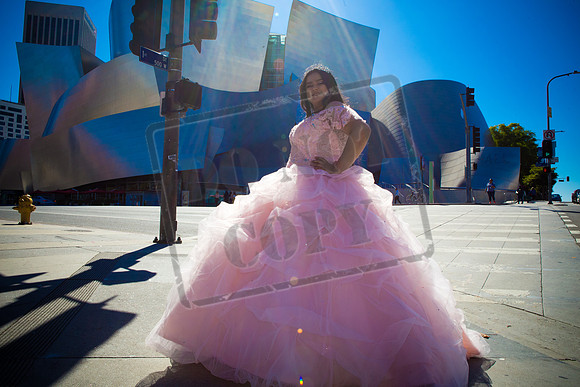 Rosale Ortiz Pre-pictures_0043