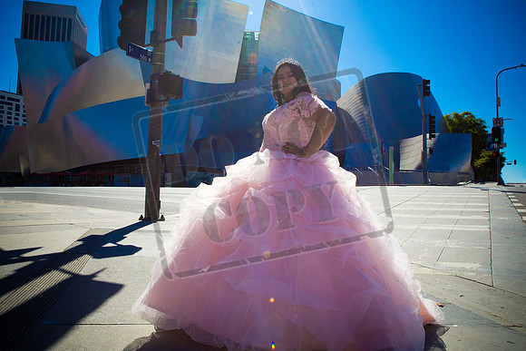 Rosale Ortiz Pre-pictures_0042