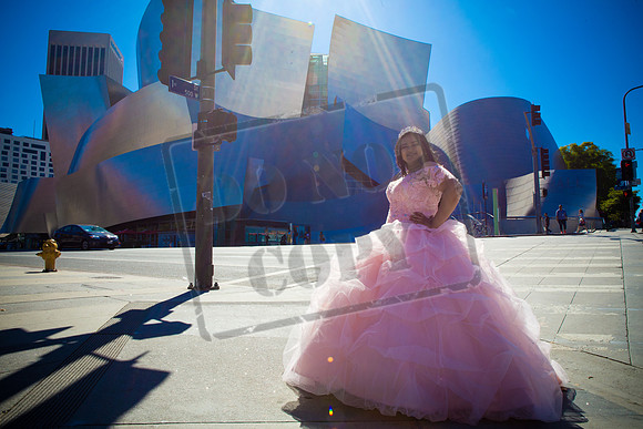 Rosale Ortiz Pre-pictures_0041