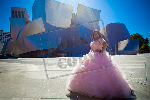 Rosale Ortiz Pre-pictures_0040
