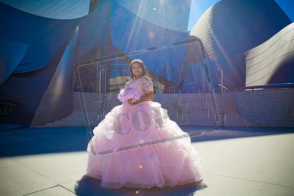 Rosale Ortiz Pre-pictures_0038