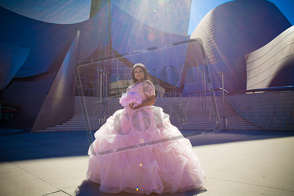 Rosale Ortiz Pre-pictures_0037