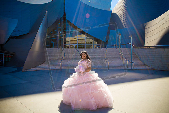 Rosale Ortiz Pre-pictures_0035
