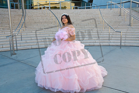 Rosale Ortiz Pre-pictures_0033