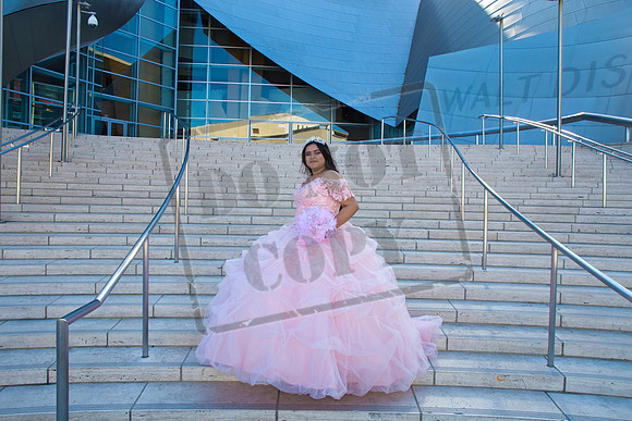 Rosale Ortiz Pre-pictures_0032