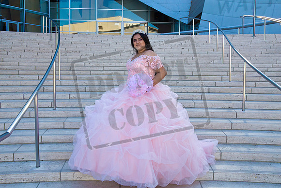 Rosale Ortiz Pre-pictures_0031