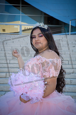 Rosale Ortiz Pre-pictures_0029