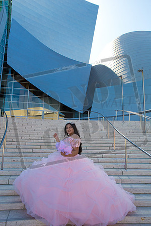 Rosale Ortiz Pre-pictures_0027