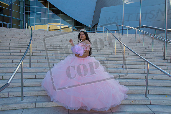 Rosale Ortiz Pre-pictures_0026