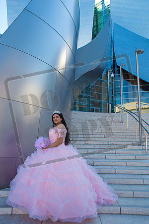 Rosale Ortiz Pre-pictures_0025