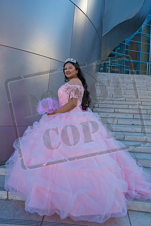 Rosale Ortiz Pre-pictures_0024