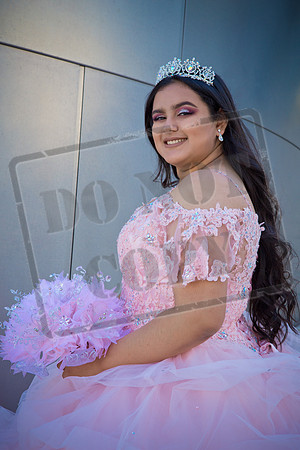 Rosale Ortiz Pre-pictures_0022