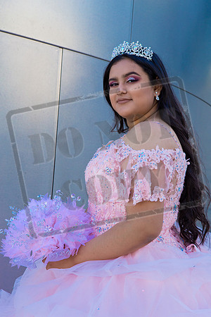 Rosale Ortiz Pre-pictures_0021