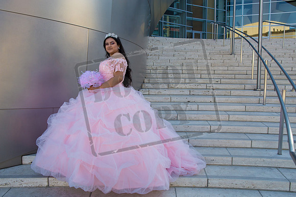 Rosale Ortiz Pre-pictures_0018