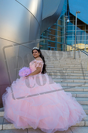 Rosale Ortiz Pre-pictures_0014