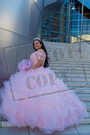 Rosale Ortiz Pre-pictures_0013