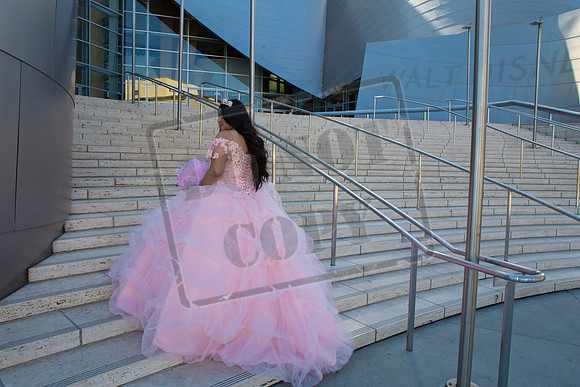 Rosale Ortiz Pre-pictures_0012