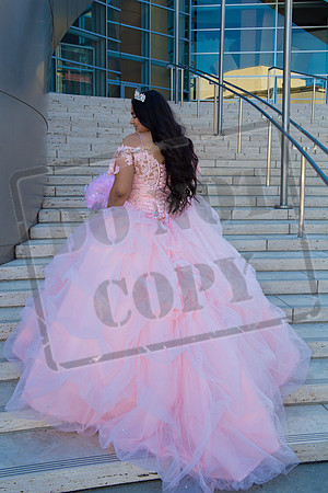 Rosale Ortiz Pre-pictures_0010