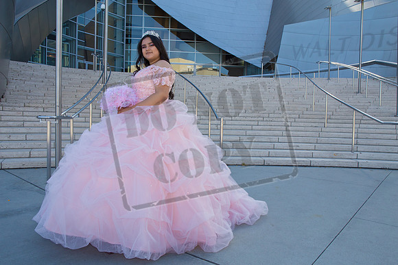 Rosale Ortiz Pre-pictures_0005