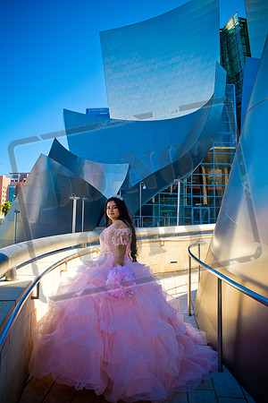 Rosale Ortiz Pre-pictures_0077