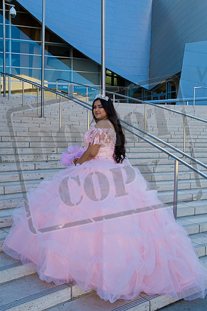Rosale Ortiz Pre-pictures_0008
