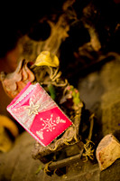 Rosy_Event_0008